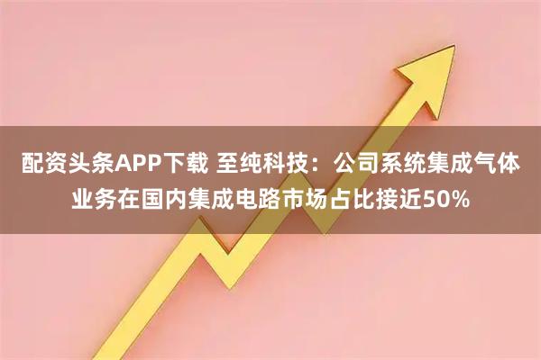 配资头条APP下载 至纯科技：公司系统集成气体业务在国内集成电路市场占比接近50%
