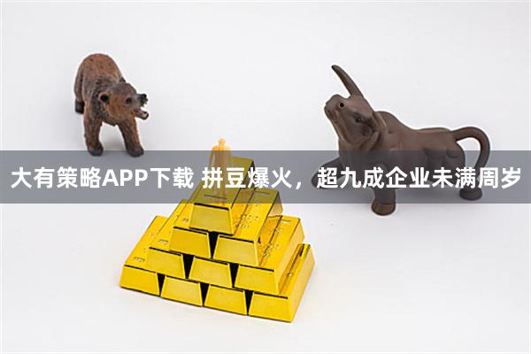 大有策略APP下载 拼豆爆火,超九成企业未满周岁